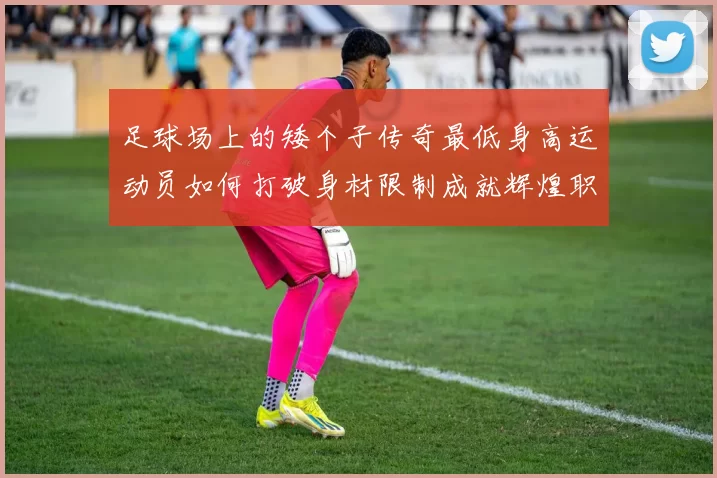 足球场上的矮个子传奇最低身高运动员如何打破身材限制成就辉煌职业生涯