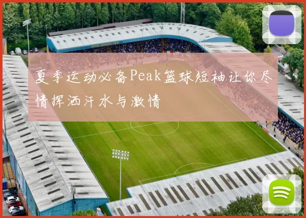 夏季运动必备Peak篮球短袖让你尽情挥洒汗水与激情