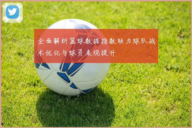 全面解析篮球数据指数助力球队战术优化与球员表现提升