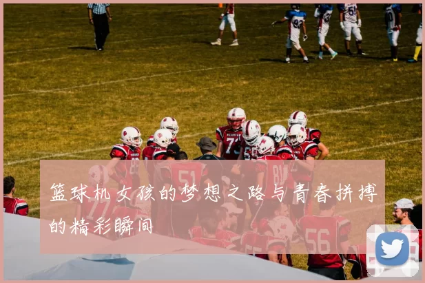 篮球机女孩的梦想之路与青春拼搏的精彩瞬间