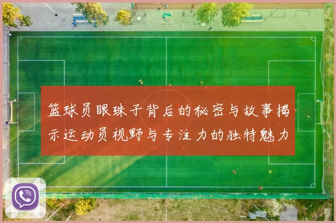 篮球员眼珠子背后的秘密与故事揭示运动员视野与专注力的独特魅力