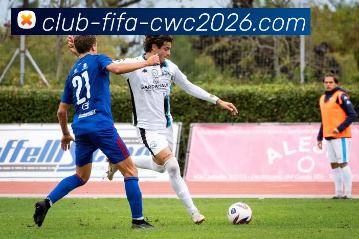 买球中国网站APP 封面图